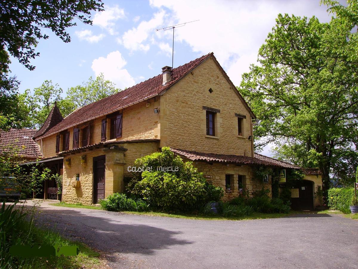 Auberge De Castel-Merle Hotel Sergeac Exterior foto